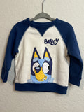 Boys Bluey Sweatshirt