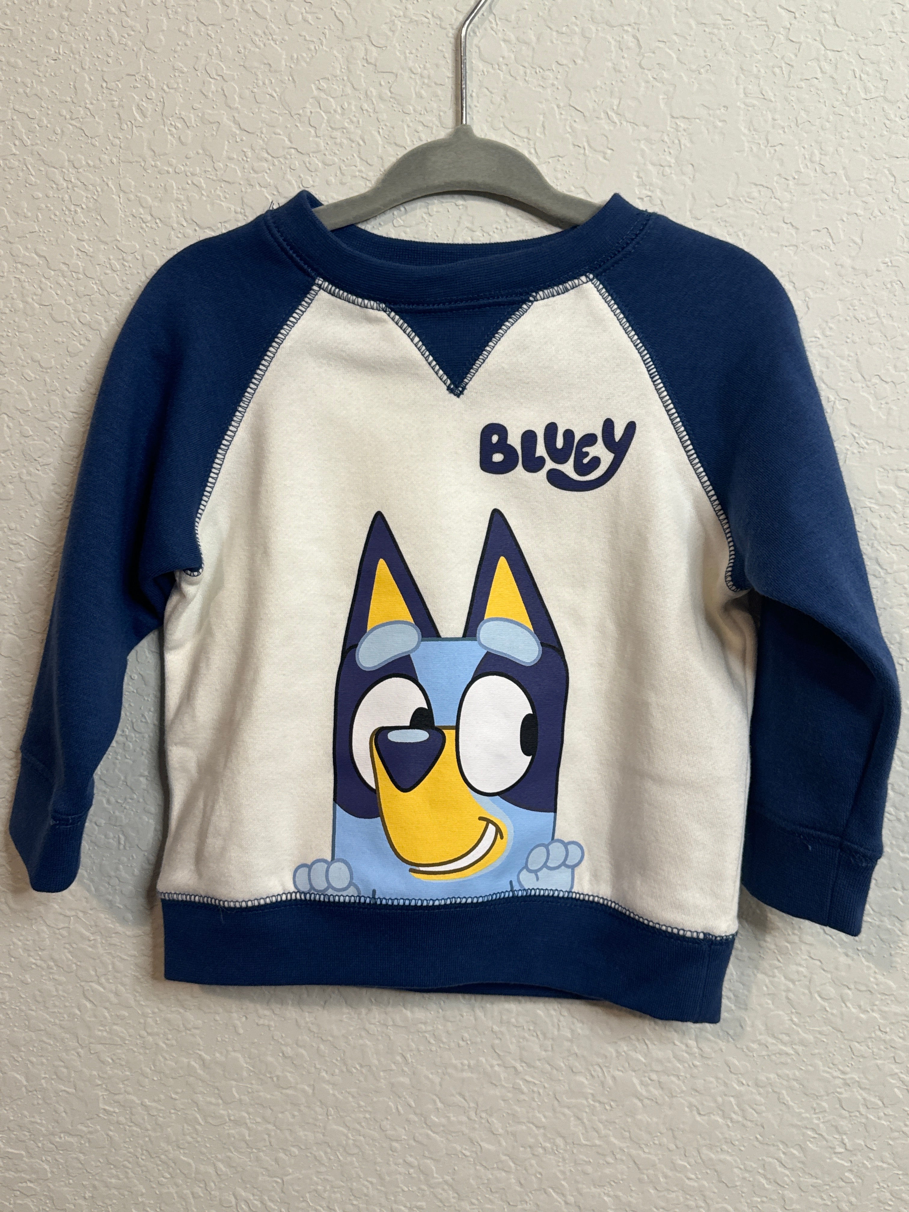 Boys Bluey Sweatshirt